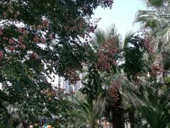 -苏州河梦清园环保主题公园