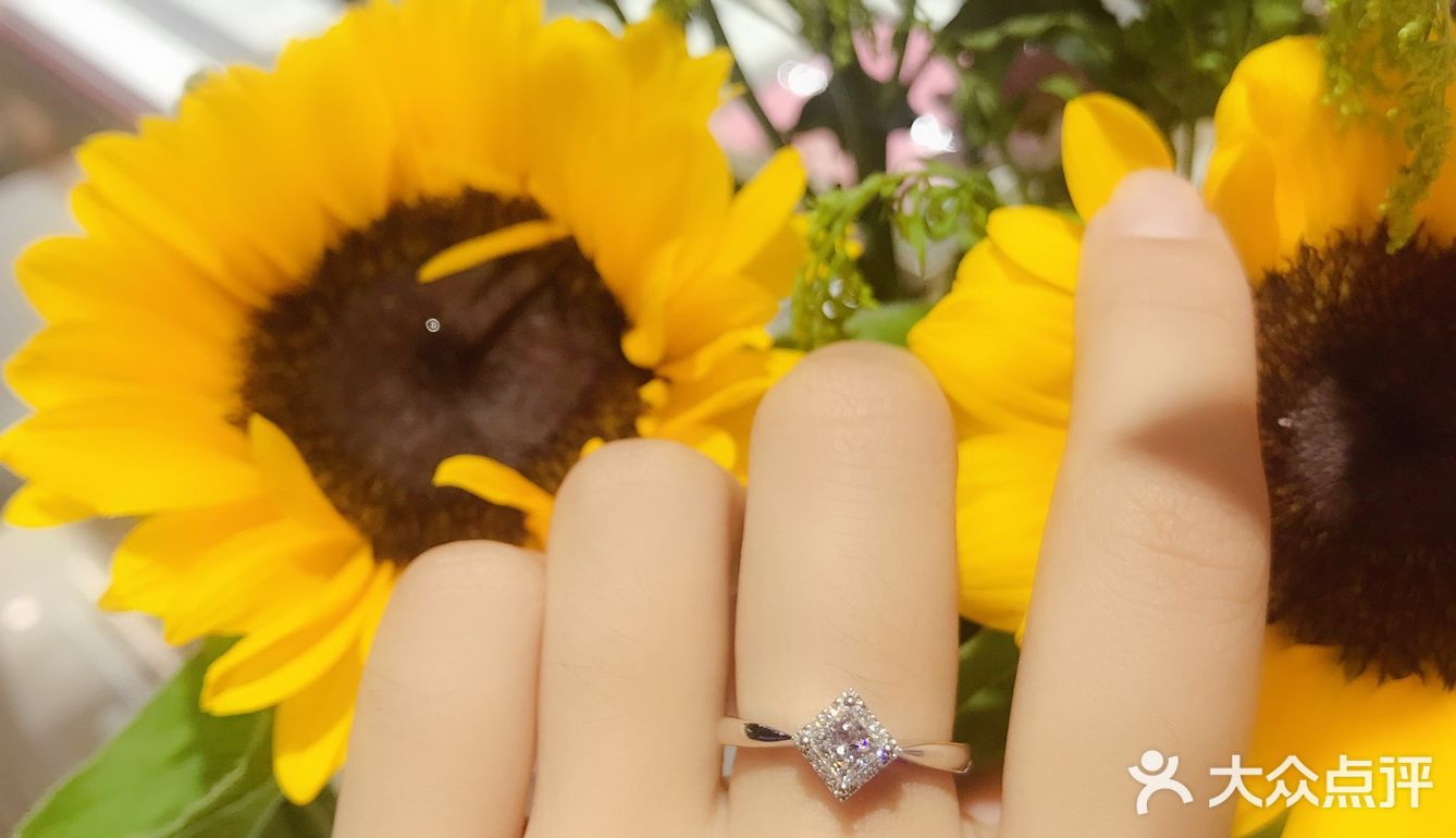 一辈子总要有一枚钻石小鸟💍率真女神