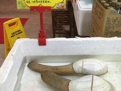 -蚝专家(北滘店)