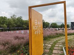 -滕州微山湖红荷湿地景区