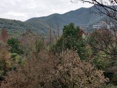 -天目湖御水温泉·度假酒店