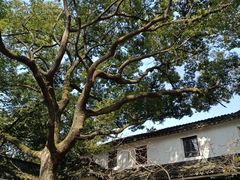 -西园戒幢律寺