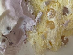 -糕小爱动物奶油生日蛋糕定制(晋江万达店)