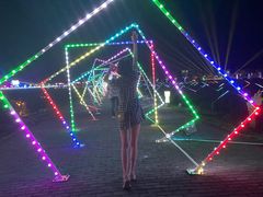-枫林花海
