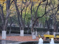 -山东大学(趵突泉校区)