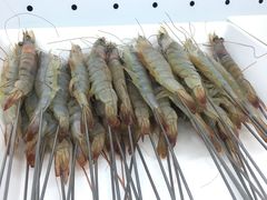 -搓火大都会(广安门总店)