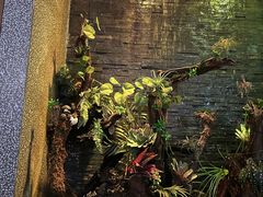 -泰适SPA馆丨精油·按摩·足道(后海地铁口店)