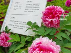 -太阳宫公园