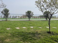 -七的湖·晚芳亭·阳澄湖农家菜·大闸蟹(莲花岛店)