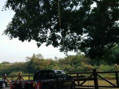 -南宁良凤江国家森林公园