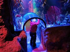 -沈阳海洋探索中心