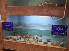 水产区-国惠大酒楼(宝龙店)