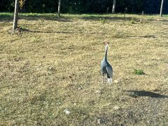 -南京金牛湖风景区