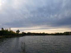 -东郊湿地公园