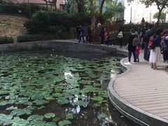 -香港大学
