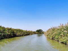 -大湾区中央湿地公园