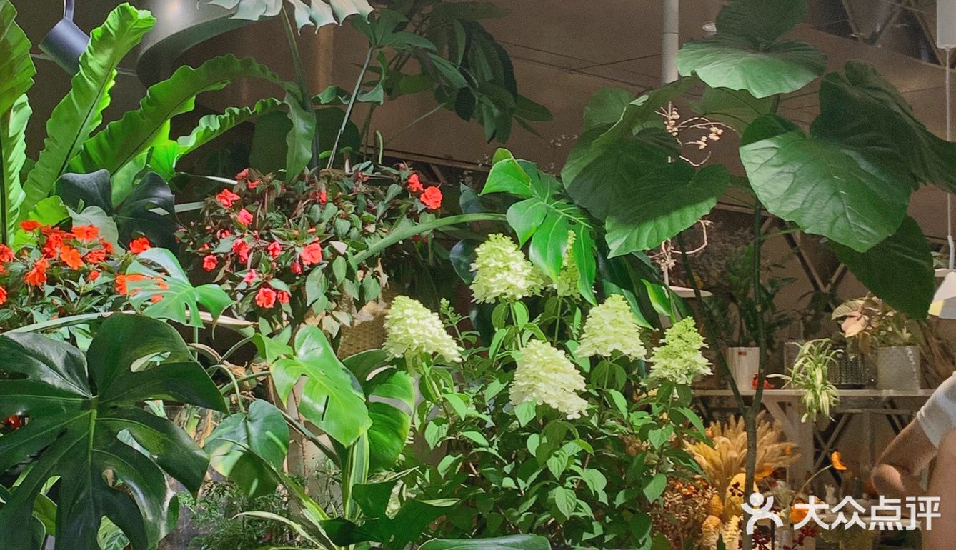 杭州西湖边的平价浪漫💐约会西餐不过百
