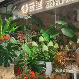 杭州西湖边的平价浪漫💐约会西餐不过百