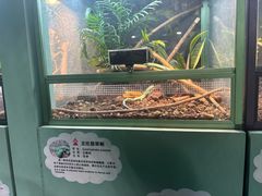 -上海大自然野生昆虫馆(东方明珠·爬宠昆虫探索中心)