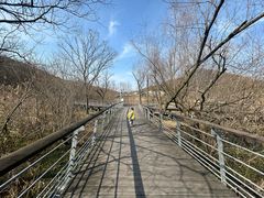 -西湖风景区-江洋畈生态公园