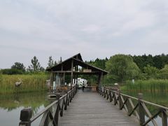 -溱湖国家湿地公园