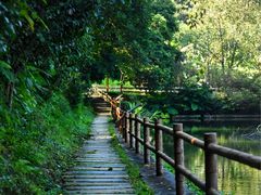 -广州市帽峰山景区