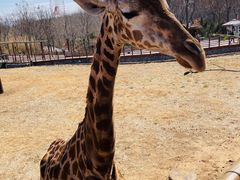 -济南野生动物世界