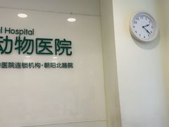 -悦宠凯宝动物医院·牙科·皮肤科(朝阳北路店)