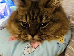 -星巴克(深圳石岩星城店)