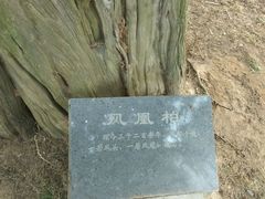 -仓颉庙
