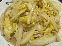 -小蝌蚪·寻·月嫂(普陀总部)