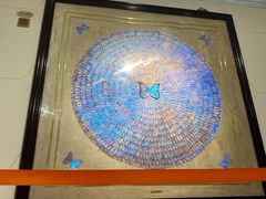 -上海昆虫博物馆