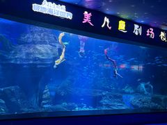 -多彩贵州城极地海洋世界