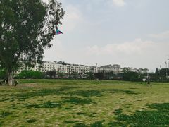 -爱达乐面包生日蛋糕(红光西华店)