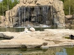 -大青山野生动物园