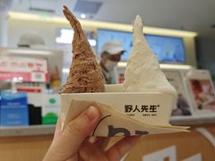-野人先生现做冰淇淋(深圳壹方城店)