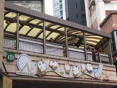 -中环半山扶手电梯