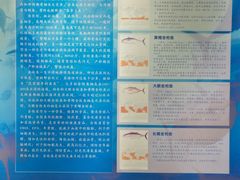 -上海海洋大学鱼文化博物馆(军工路校区)