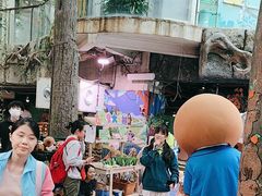 -正佳雨林生态植物园
