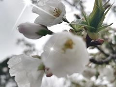 -贡湖湾湿地公园