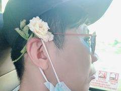 -亚龙湾国际玫瑰谷