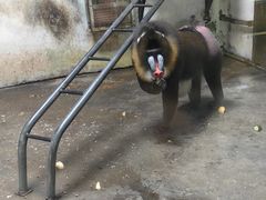 -宁波野生动物园