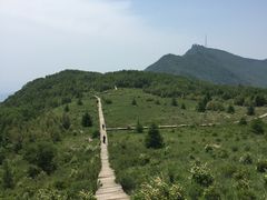 -白草畔自然风景区