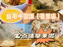 -阳阳中国饭(北京荟聚店)