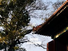 -故宫博物院(故宫)
