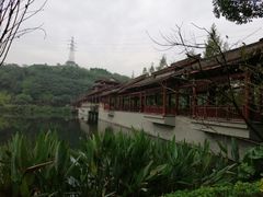 -重庆彩云湖湿地公园