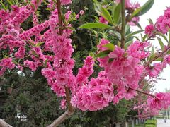 -防灾科技学院(南校区)