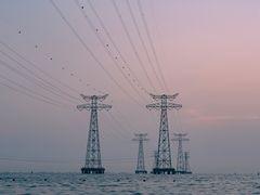 -宝安西湾红树林湿地公园