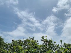 -西山樟坞健康果园枇杷杨梅采摘