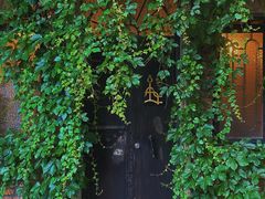 -西关84·History·Art·Cafe